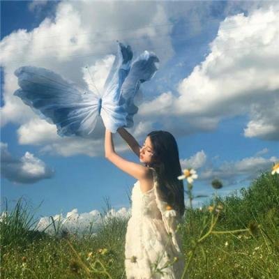 傻妹从军